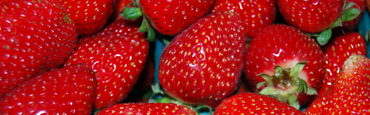 Sød. Foto: Pixabay Sød.