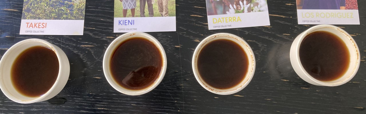 Forskellige kaffer klar til cupping. Foto: Johanne Hvelplund Forskellige kaffer klar til cupping. Foto: Johanne Hvelplund