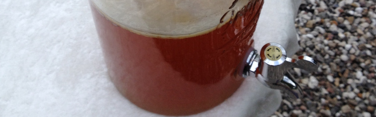 Kombucha er et af de fermenterede produkter, der indtil for få år siden var ukendt herhjemme. Foto: Birthe Kofoed Mortensen Kombucha er et af de fermenterede produkter, der indtil for få år siden var ukendt herhjemme. Foto: Birthe Kofoed Mortensen