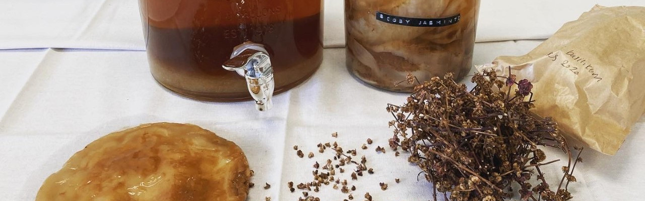 Kombucha laves ved hjælp af en gær- og bakteriekultur kaldet SCOBY. Foto: Johanne Hvelplund Kombucha laves ved hjælp af en gær- og bakteriekultur kaldet SCOBY. Foto: Johanne Hvelplund