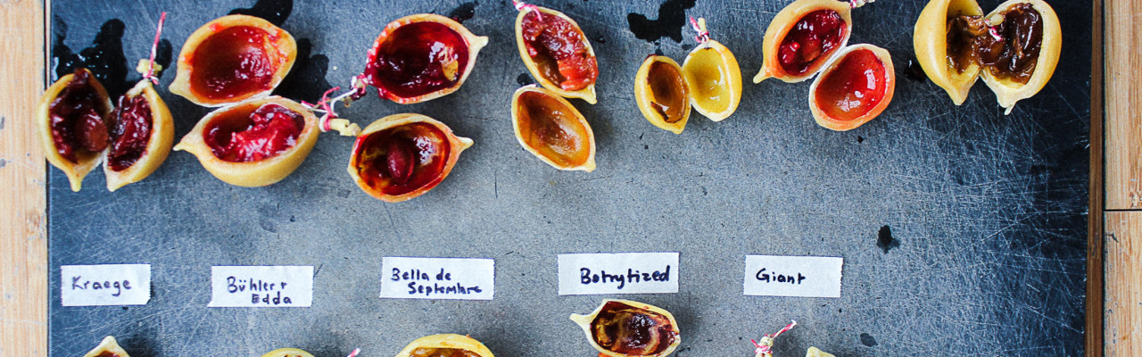 Foto: Nordic Food Lab