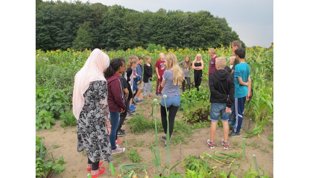 I marken