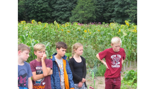I marken 